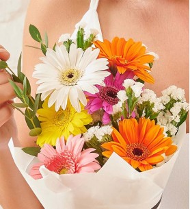 Rengarenk Gerbera Çiçekleri